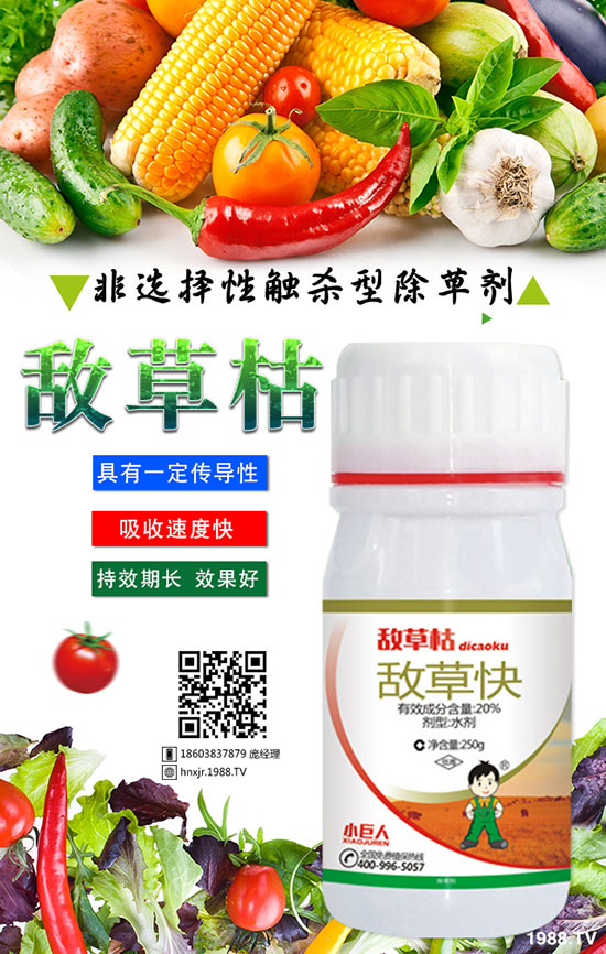 �������_����η��� �������_��ԭ��