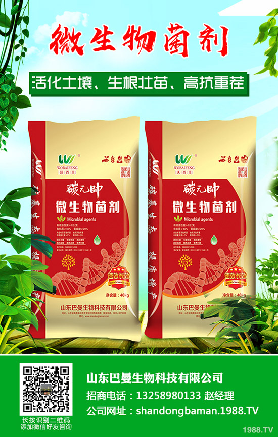     ���������Ј����镺��(w��n)��2019��12��16������������S������r��