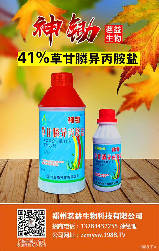 ����(n��i)��Ч�w���݄�L-���@좺ϳɼ��gȡ�óɹ�