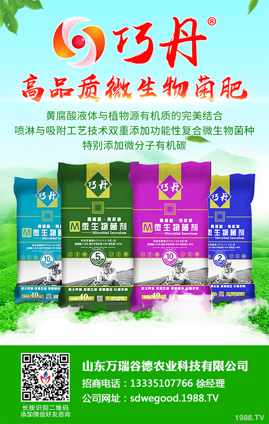 ؕ������Щ���湦Ч��ؕ�ջ��Ĺ�Ч�����c����