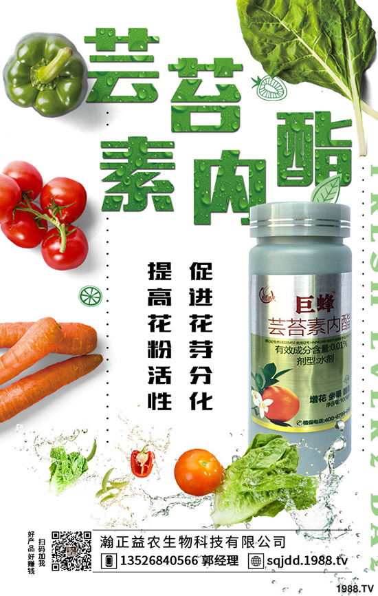 2019-12-18����(n��i)⛷ʃr(ji��)���Ј����鼰�����߄ݷ���