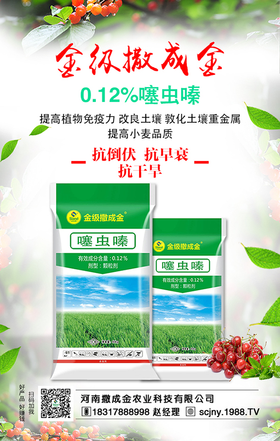 ���Է��ϊZ�����B��������