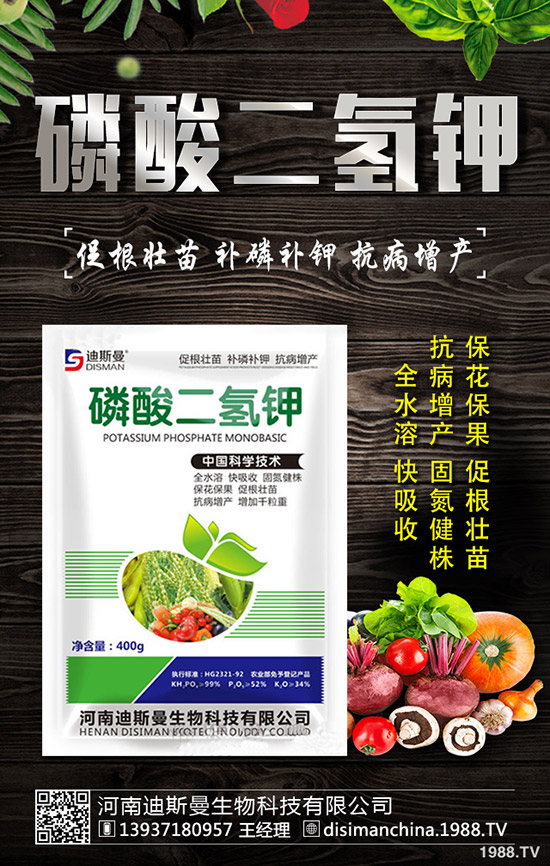 ������ô�Nֲ�������Nֲ�������ճ�����������