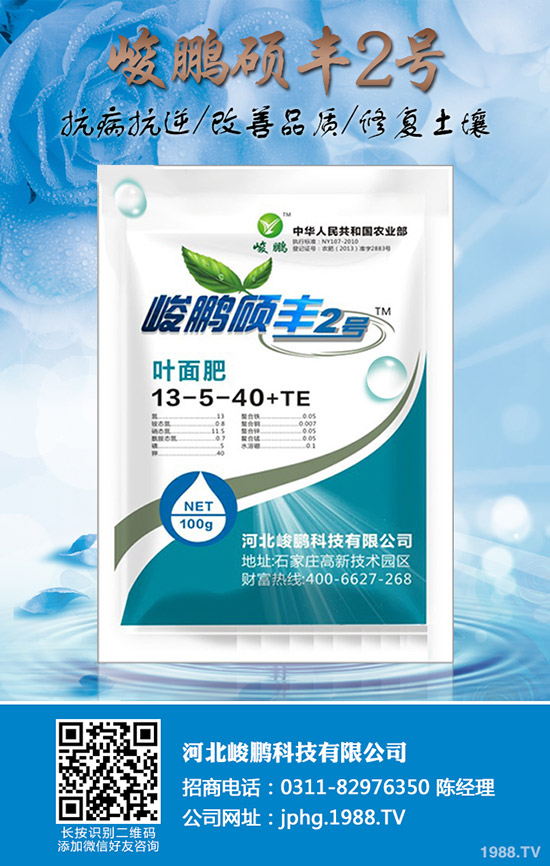 ����ʲô�r��׷�ʣ�����׷��ע��Ҫ�c��