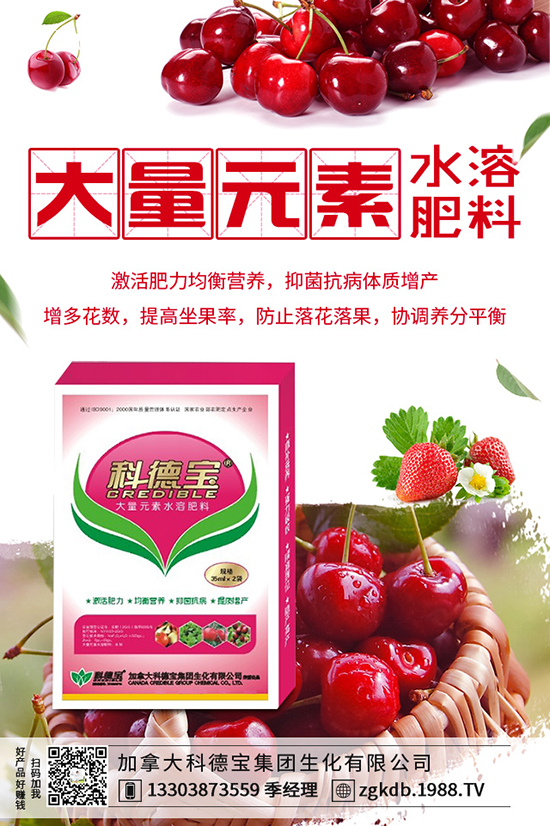 2019-12-21���؃r(ji��)������ӑB(t��i)�������Xһ����