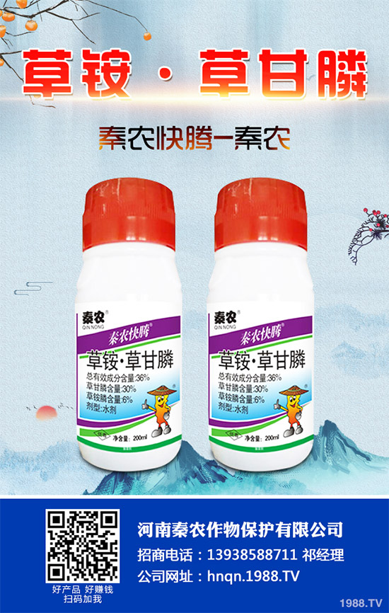 Prentiss�������������s�ݳ��݄�Camp-D ��2��4-D�Ͱ��������