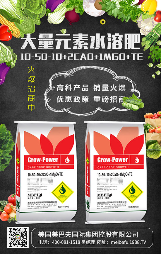     2019���������@��������r(ji��)��C�Ϸ�����(b��o)�棡