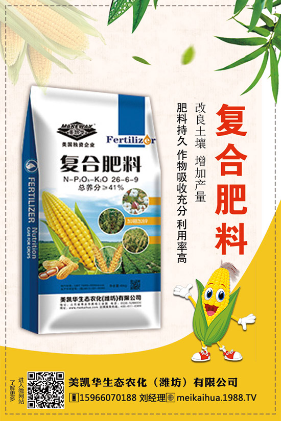     2019�������һ�@��������r��C�Ϸ��������