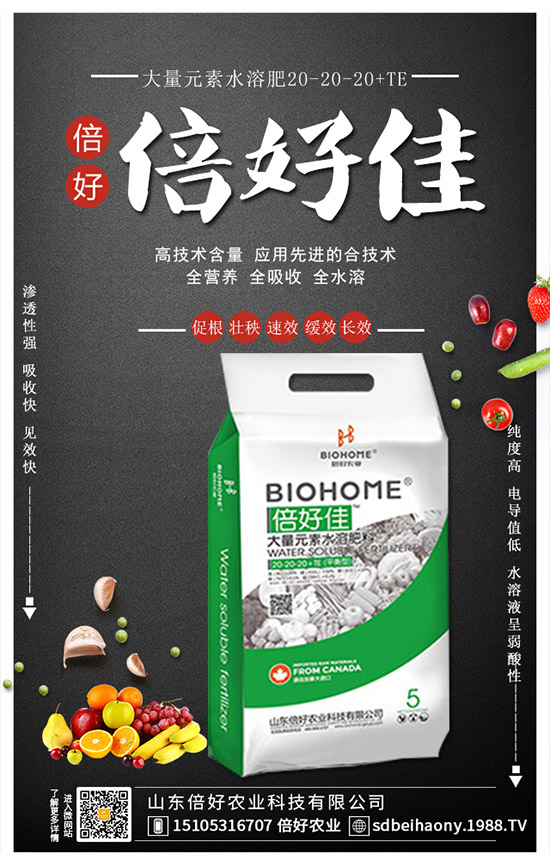     2020�괺��(ji��)��������(f��)�Ϸ��Ј�(ch��ng)��(f��)�K������(f��)�Ϸ������(b��o)�r(ji��)��