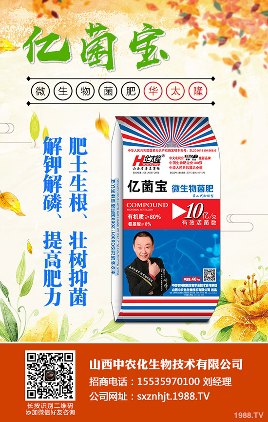     ���@�r(ji��)���Դ�С���»����g��2019��12�µ�������@���������