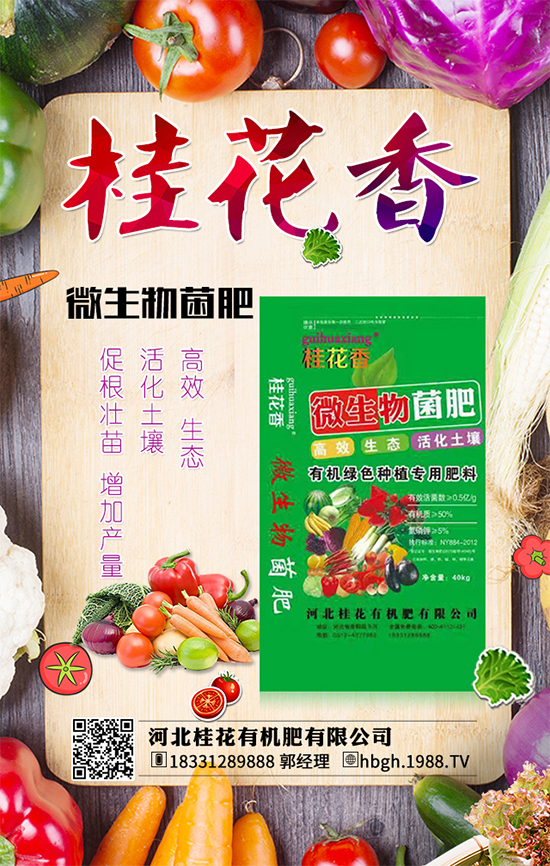 �����Ϸ��з������ַ֞����Ϸ�С����