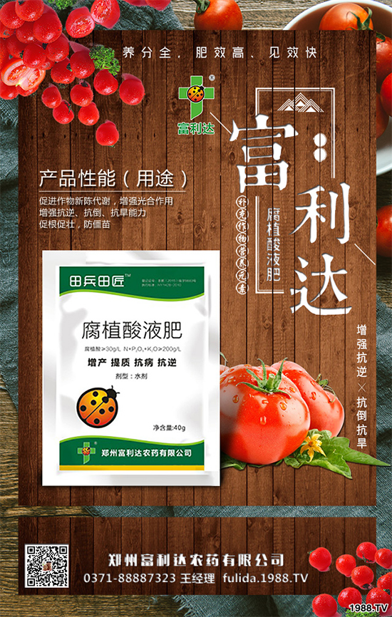 �Nֲʲôˎ����ٍ�X��2020����ˎ�ķNֲǰ������