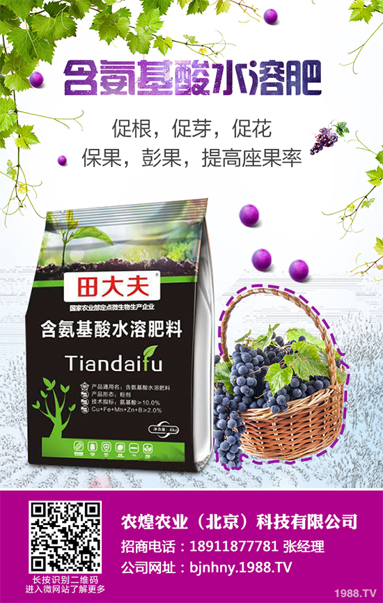 ��ѩ�^�����߲˴�����֪��ԓ��ô�������