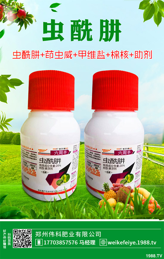 �󶹚��x���r��