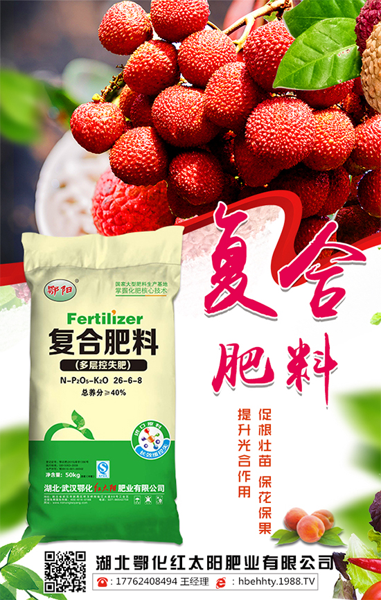 �ͺϷ�����r������2019��12��31�ս��ՏͺϷʃr�����飡