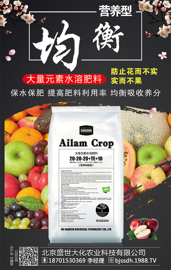 2020��Ԫ���������׷ʃr���ϝq�ˆ᣿2019��12�µ������׷������Ӎ��