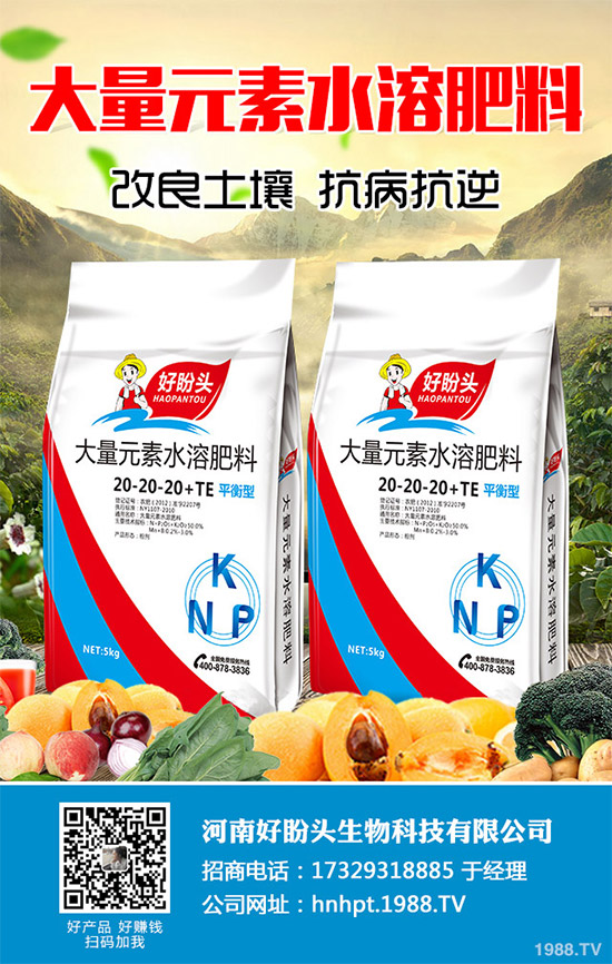 ������֪���Ľ�ɏ���p���ų����w11�N������