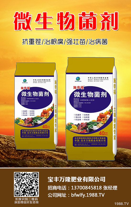 ����ʲô�r��Nֲ���������N���g(sh��)Ҫ�c���Y(ji��)