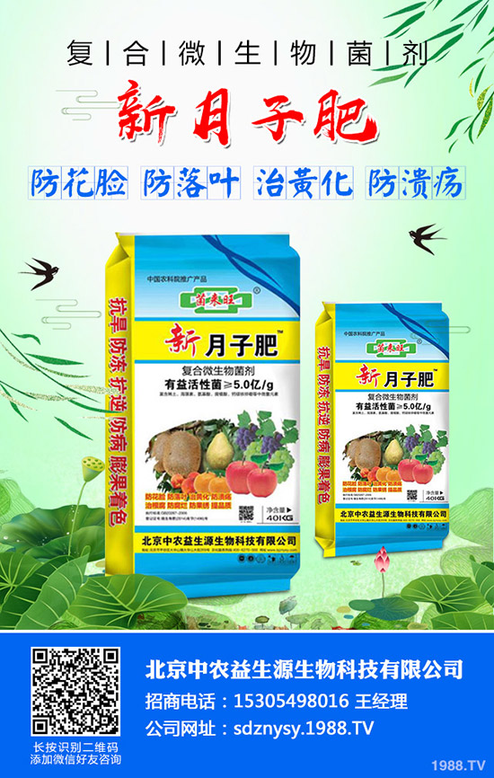     2019-12-5���@�����߄�ƽ��������������@�r�������