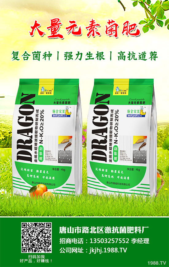 ������۲�����ЩΣ����ԓ��η����������������