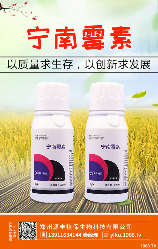 葛根的種植前景怎么樣，葛根的種植技術有哪些？