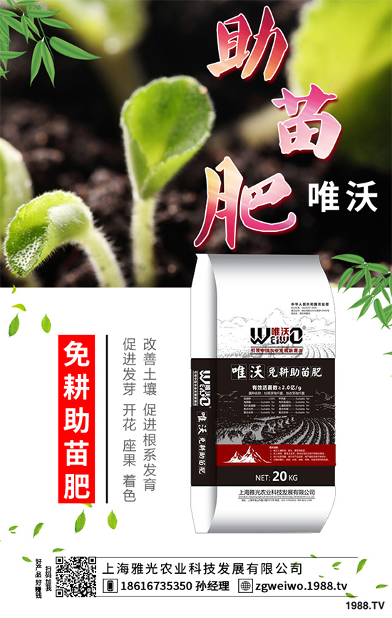     ɽˎʲô�r(sh��)�������ɽˎ���A�ط�������Щ��