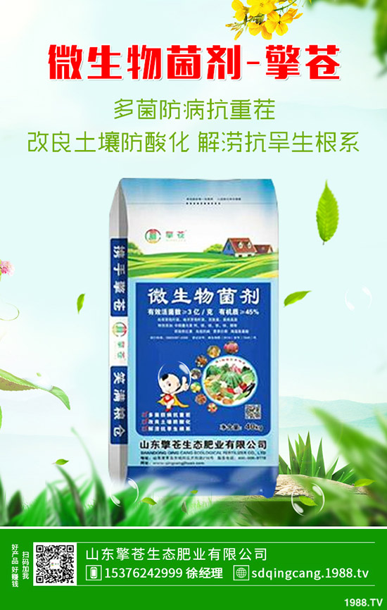     2019-12-7����һ�@�������������һ�@���r(ji��)�����(b��o)��