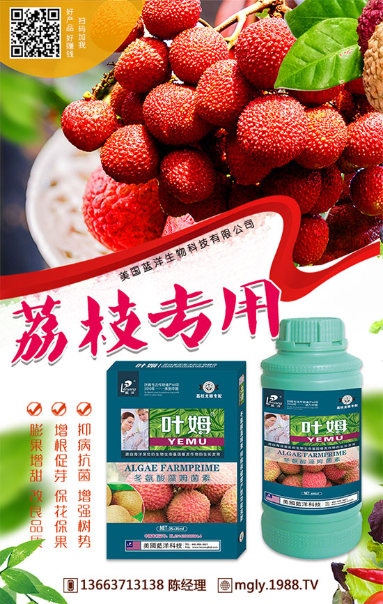 �t�탦(ch��)�ص��������t�탦(ch��)������Щ������