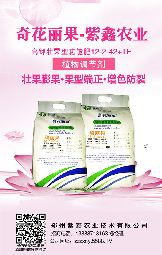     �v�^���껯���߄ݡ����ȟ����������