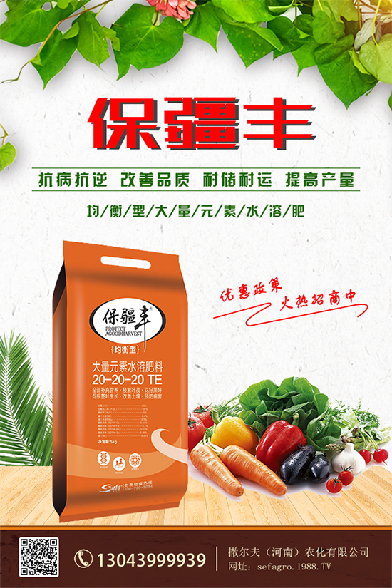 ���؃r(ji��)����m(x��)�»������վֲ��^(q��)�������Ј�����2019��8��13��