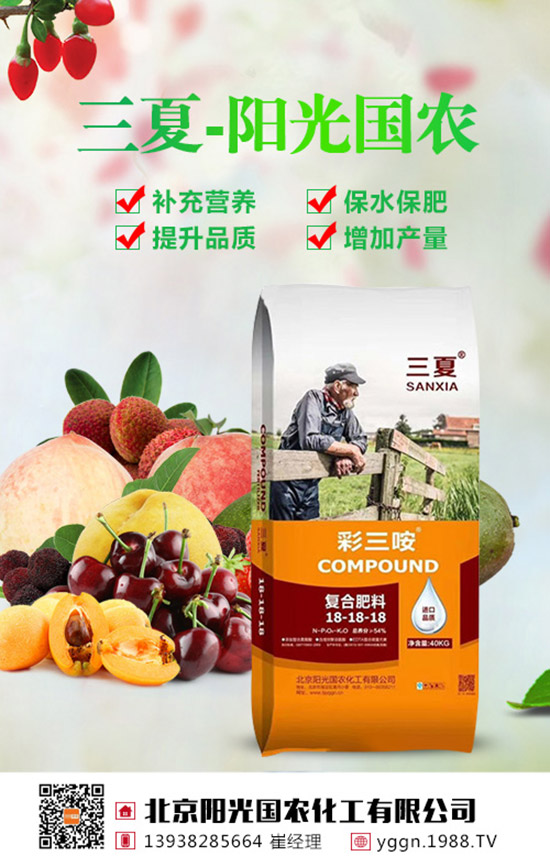 2019��8��22�ս��Շ���(n��i)���؃r(ji��)�������߄��A(y��)�y�C���u��