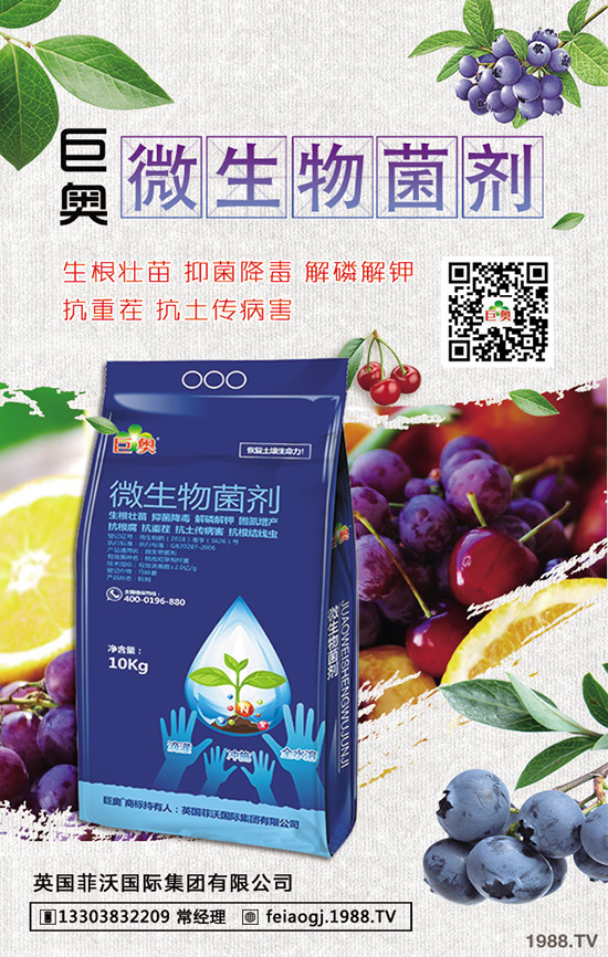 2019��8��22�ս��Շ���(n��i)���؃r�������߄��A(y��)�y�C���u��