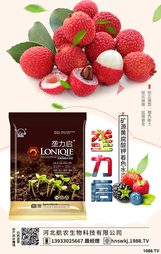 2019��8��22�ս��Շ������؃r�������߄��A�y�C���u��