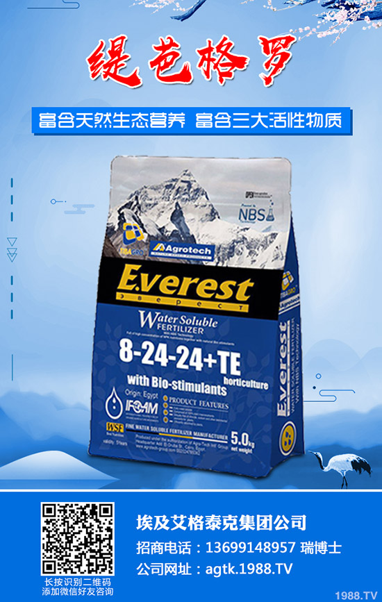 ����ʲô�r�g�������������緽��