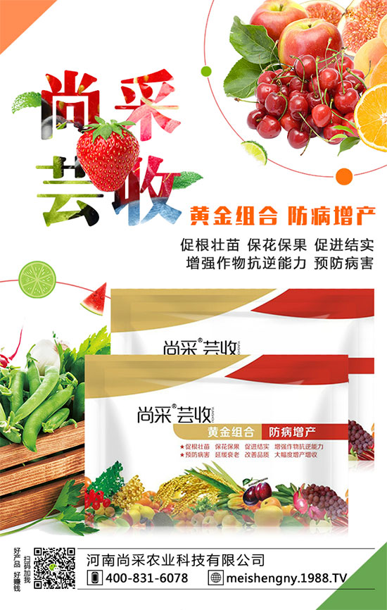 ����(sh��)�����ʵ͵�ԭ����ʲô��������(sh��)��������������