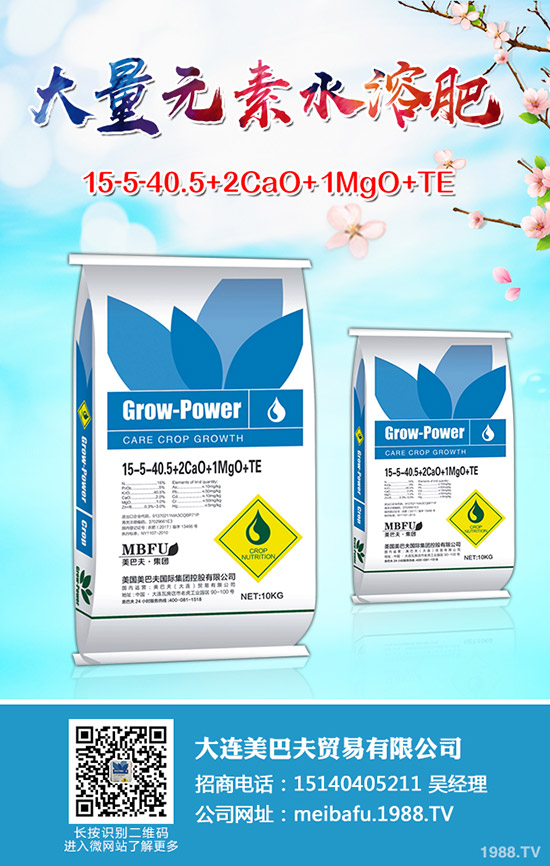 �����������؃r���Ո���������I(y��)���S�����rһ�[2019��8��23��