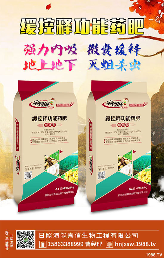 �۲�ԓ��ηNֲ��ע��Щʲô���۲˸߮a(ch��n)�Nֲ����