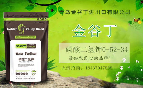 �������⛹����m������������Ҫ�����������@���������a���|����������