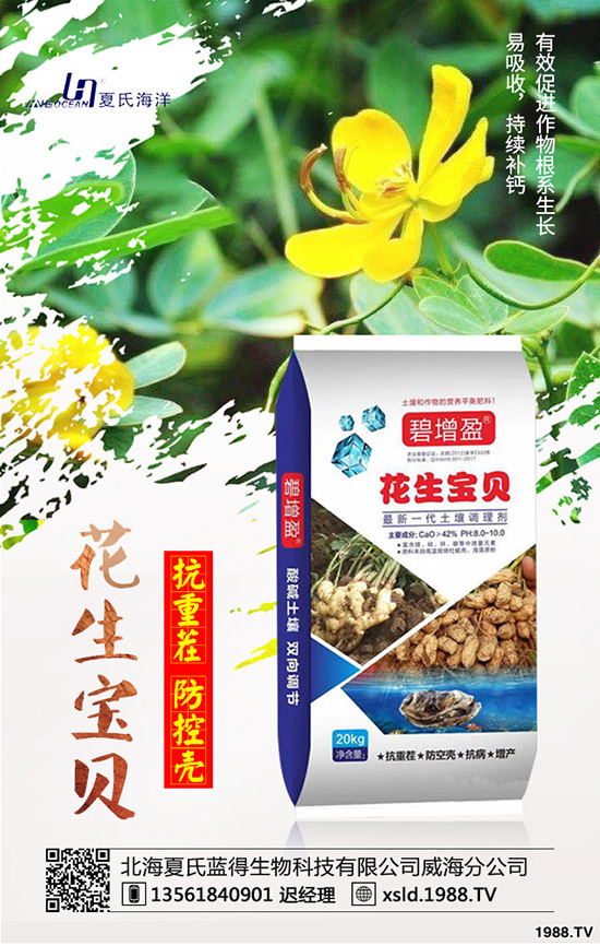 ���{(l��n)���Nǰ����������{(l��n)���߮a(ch��n)�NֲҪ�c��