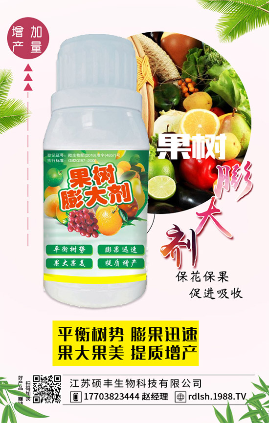 ��ľ���Ĺ�Ч�c��������ľ�����ʳ��������Щ��