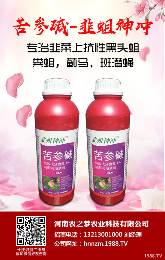     ���x(ch��ng)���r(n��ng)ˎ�r(ji��)��