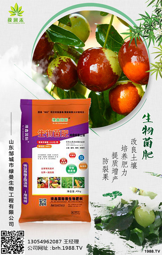 ��������ηNֲ�ģ���ֲ�����༼�g(sh��)Ҫ�c(di��n)����Щ��