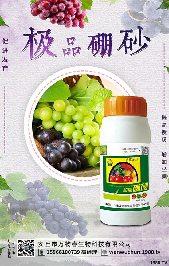 �����ηNֲ����轷Nֲ�l������Щ��