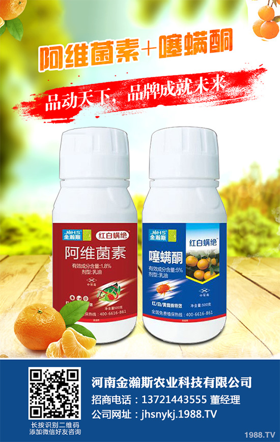 ����ͪ���x���r��