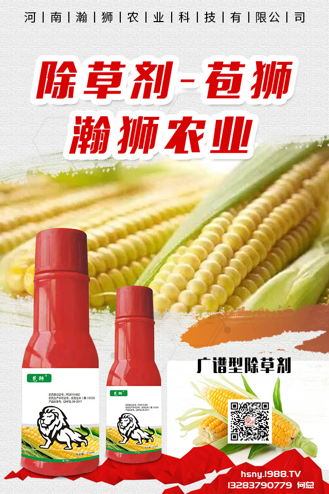 �������x����N���ò������������x����N����B