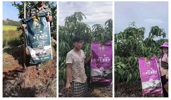 ��΢�������+�ЙC(j��)�ʡ�Ч��ţ����ʩһ���������ʡ���ָ߮a(ch��n)��