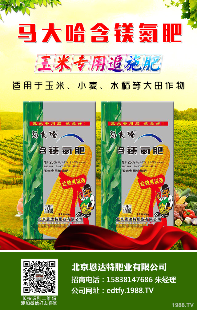 ���[��������ô���������[�������ɹ���