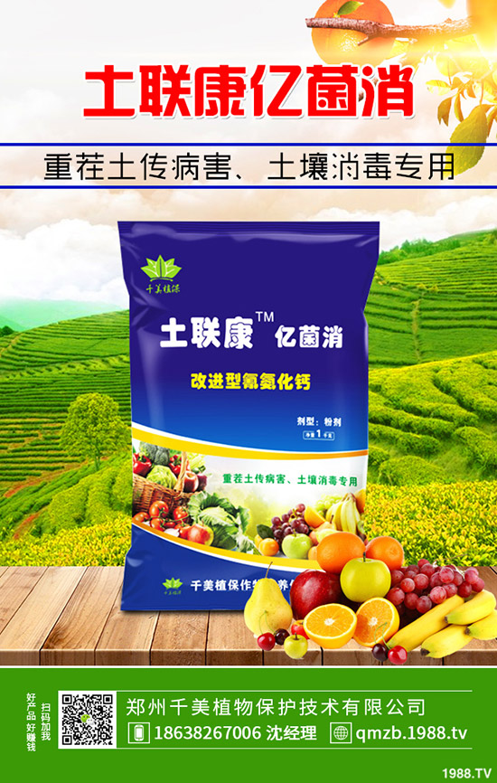     �＾����������ι������＾����������ֲ�������g(sh��)��