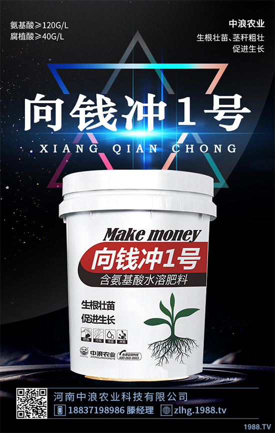 ���ʲô�r��NֲЧ���������˸߮a(ch��n)�Nֲ���g(sh��)Ҫ�c