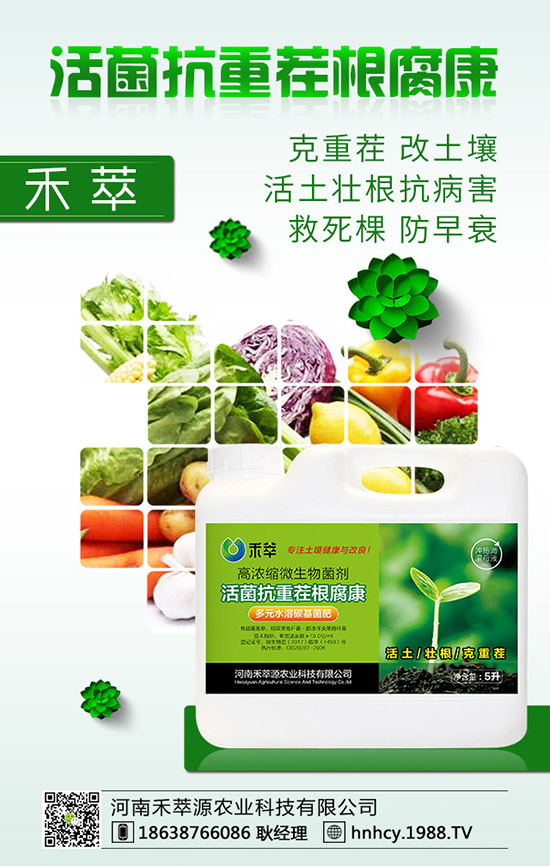 ����÷��ô�޽ӣ�����÷�޽ӷ�����